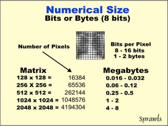 Bits or Bytes